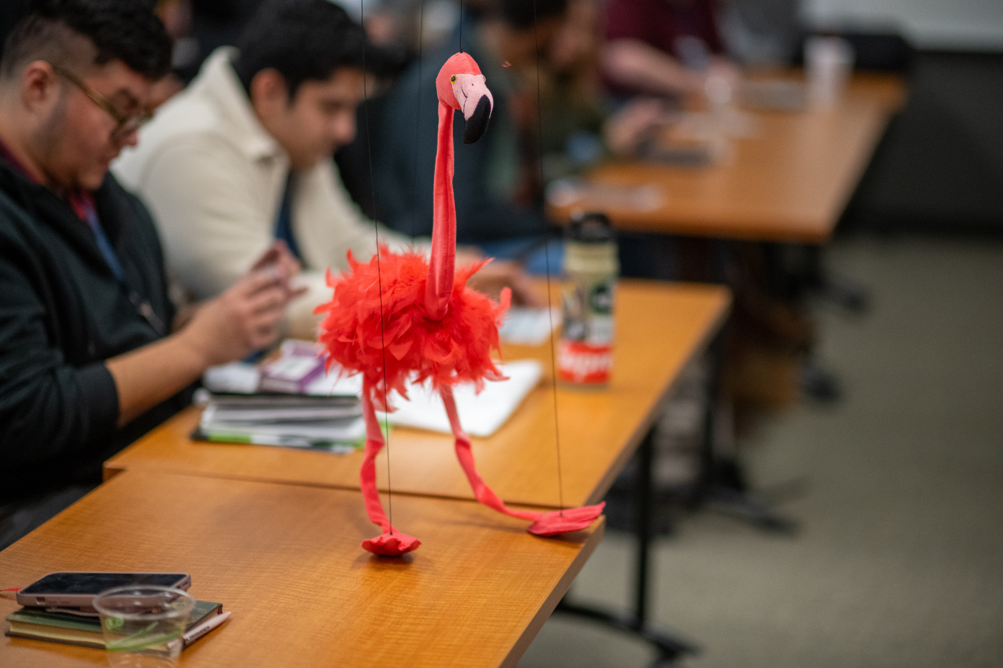 "Sasha the Dancing Flamingo" was an important presence in Kat's talk.